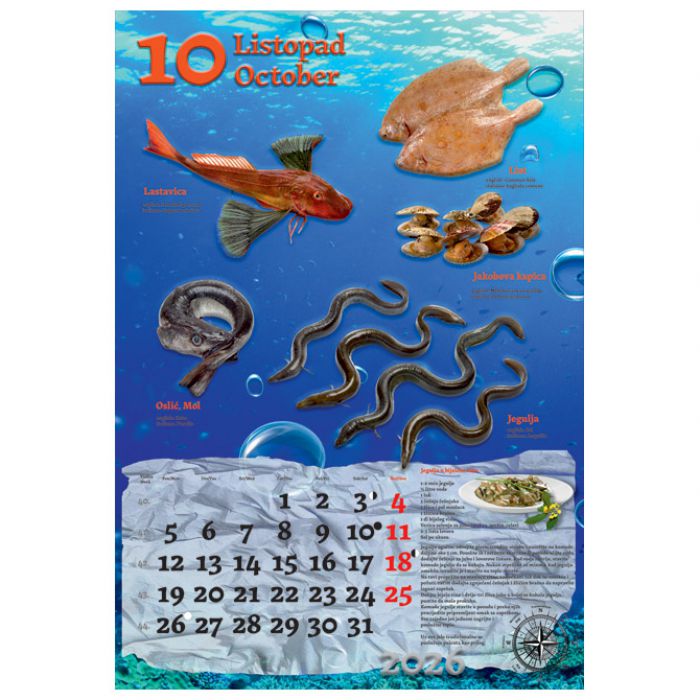 KALENDAR "RIBARNICA 2026" 13 LISTOVA, SPIRALA