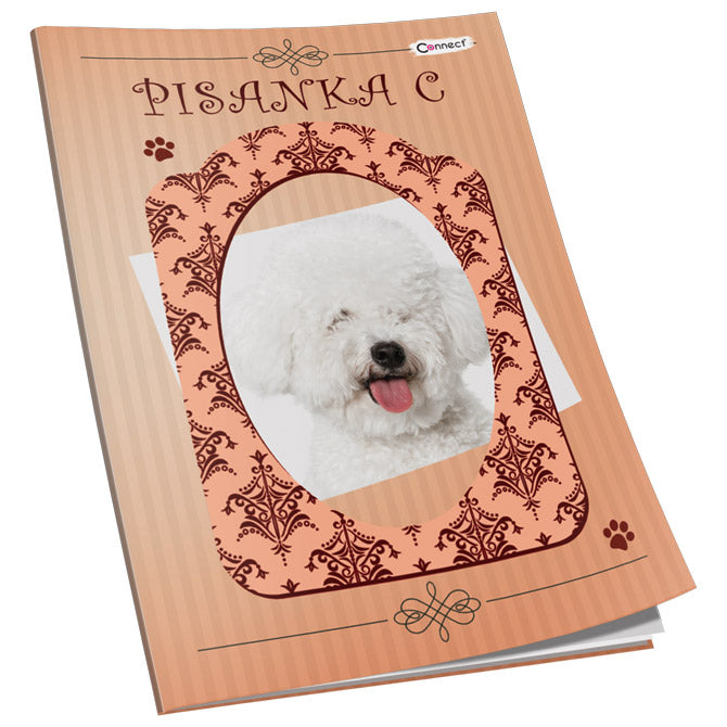 OBRAZAC ŠKOLSKI PISANKA "C" ZA 2 I 3RAZRED SOFT PLUS  CONNECT GIRL