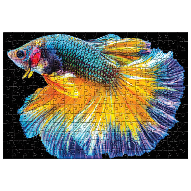 PUZZLE 250 KOM COLORFUL NATURE 6 FISH INTERDRUK