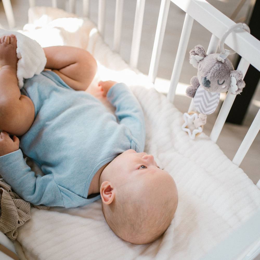BabyOno Viseća igračka koala Coco