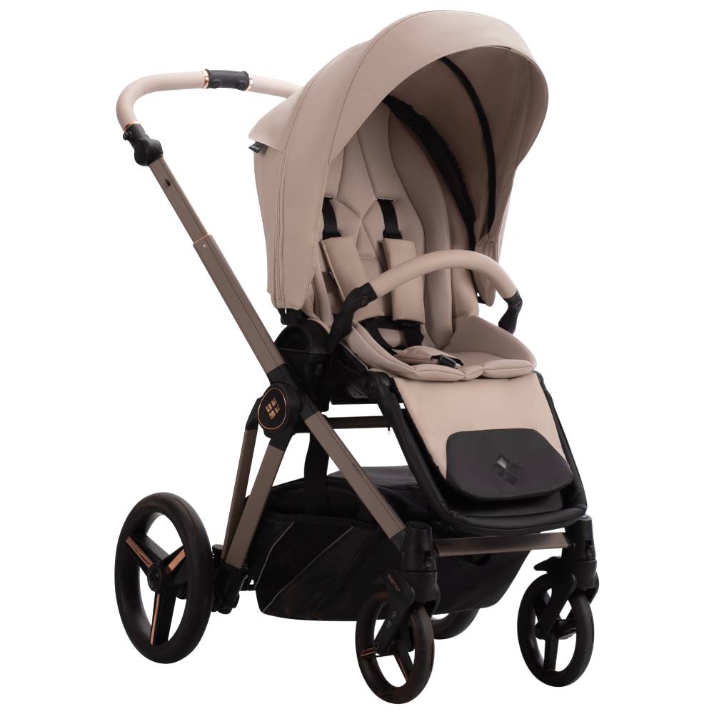 Dječja kolica Bebetto Monti Pro 04/Cashmere 2u1