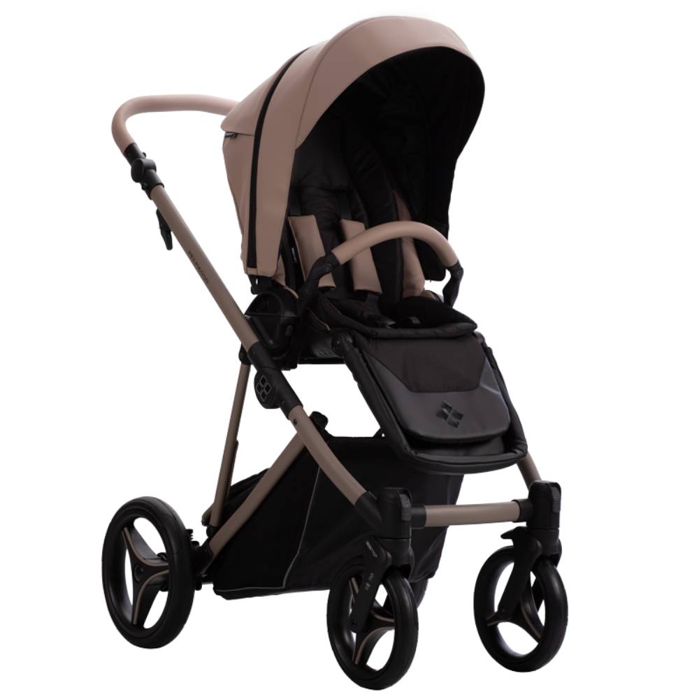 Dječja kolica Bebetto Pelpasso PRO 01/Cashmere 3u1 B