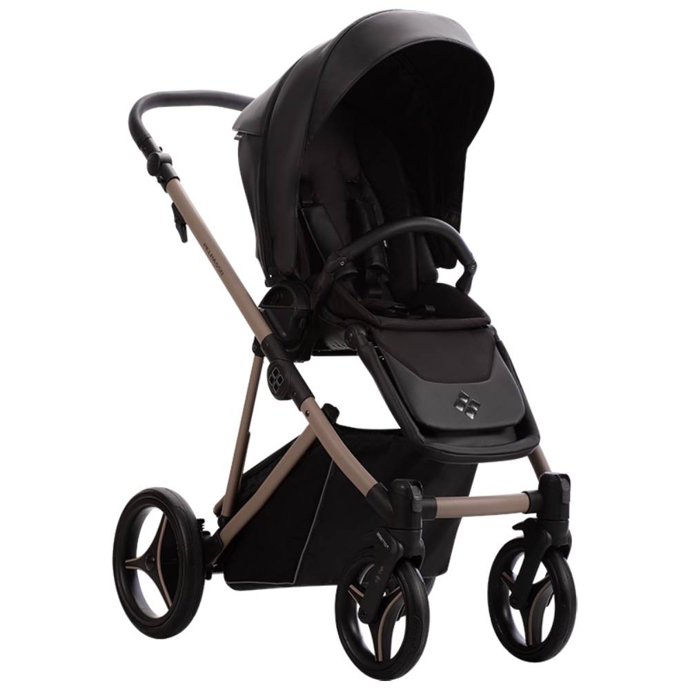 Dječja kolica Bebetto Pelpasso PRO 03/Cashmere 2u1