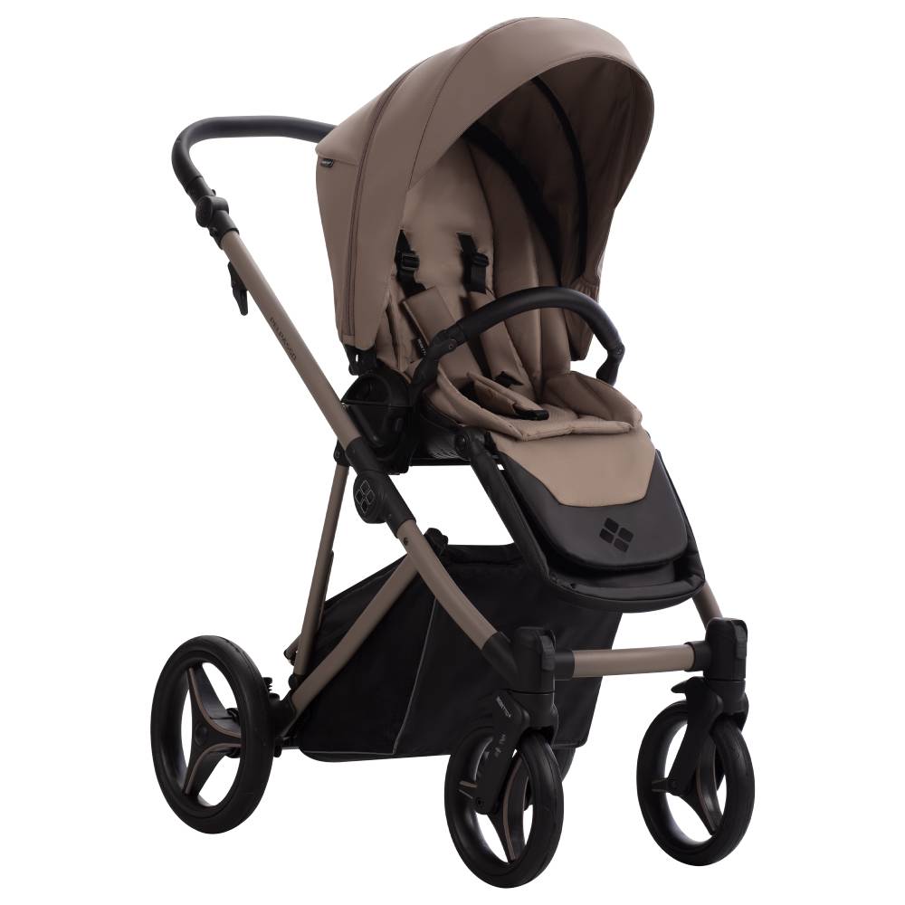 Dječja kolica Bebetto Pelpasso PRO 04/Cashmere 2u1