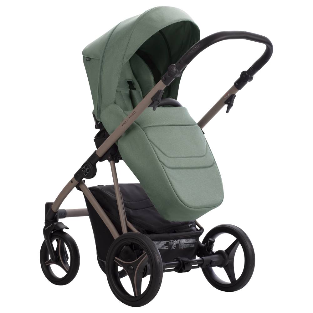 Dječja kolica Bebetto Pelpasso 05/Cashmere 2u1