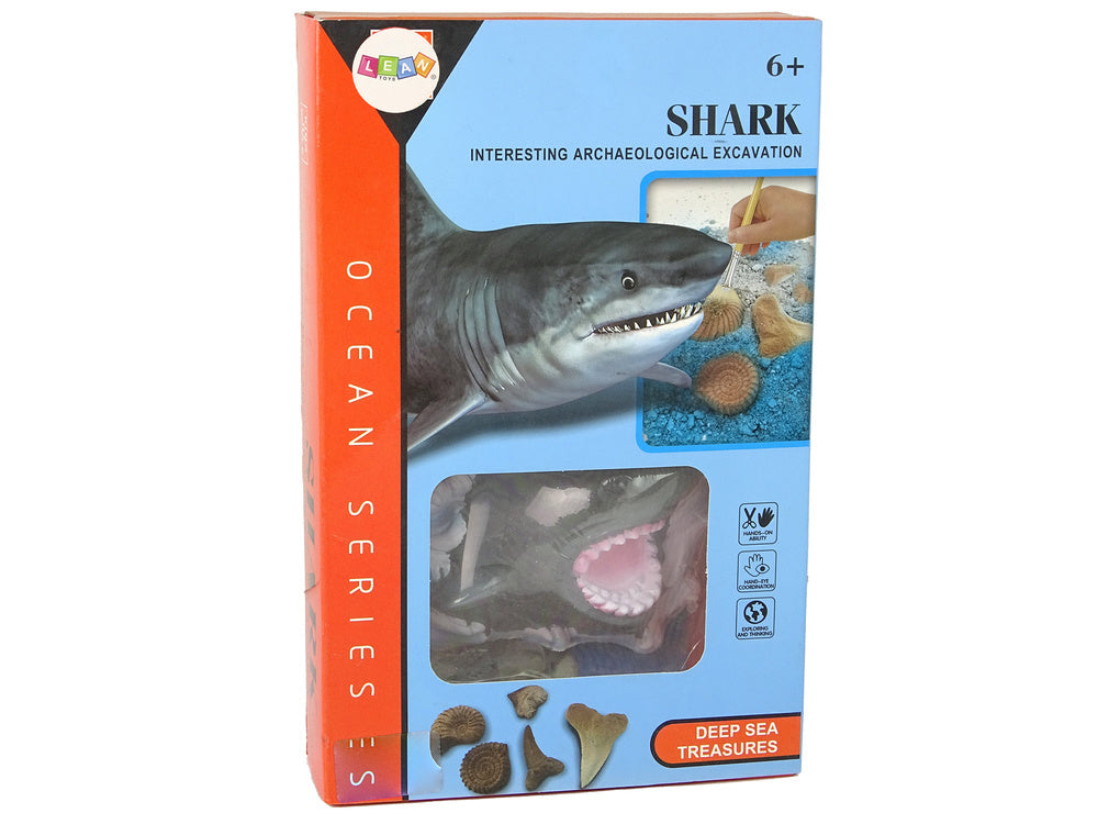 Ammonite Shark Excavation Educational Kit