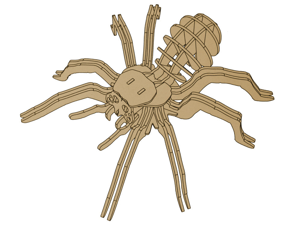 Wooden 3D Spider Puzzle Educational Combination 31 Elements