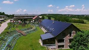 Polsko, dovolená u Krakova, 2 nebo 3 noci pro 2 osoby se snídaní, wellness a návštěvou stájí – Hotel Szary Residence