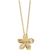 NAKIT 2JEWELS OGRLICA 251998