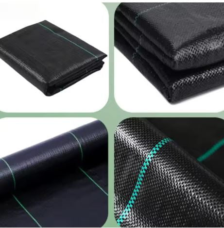 Domyślna nazwa