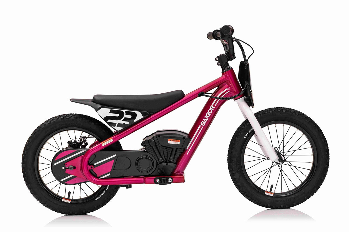 Motor na akumulator BAIGOR 23 PRO - Rozi