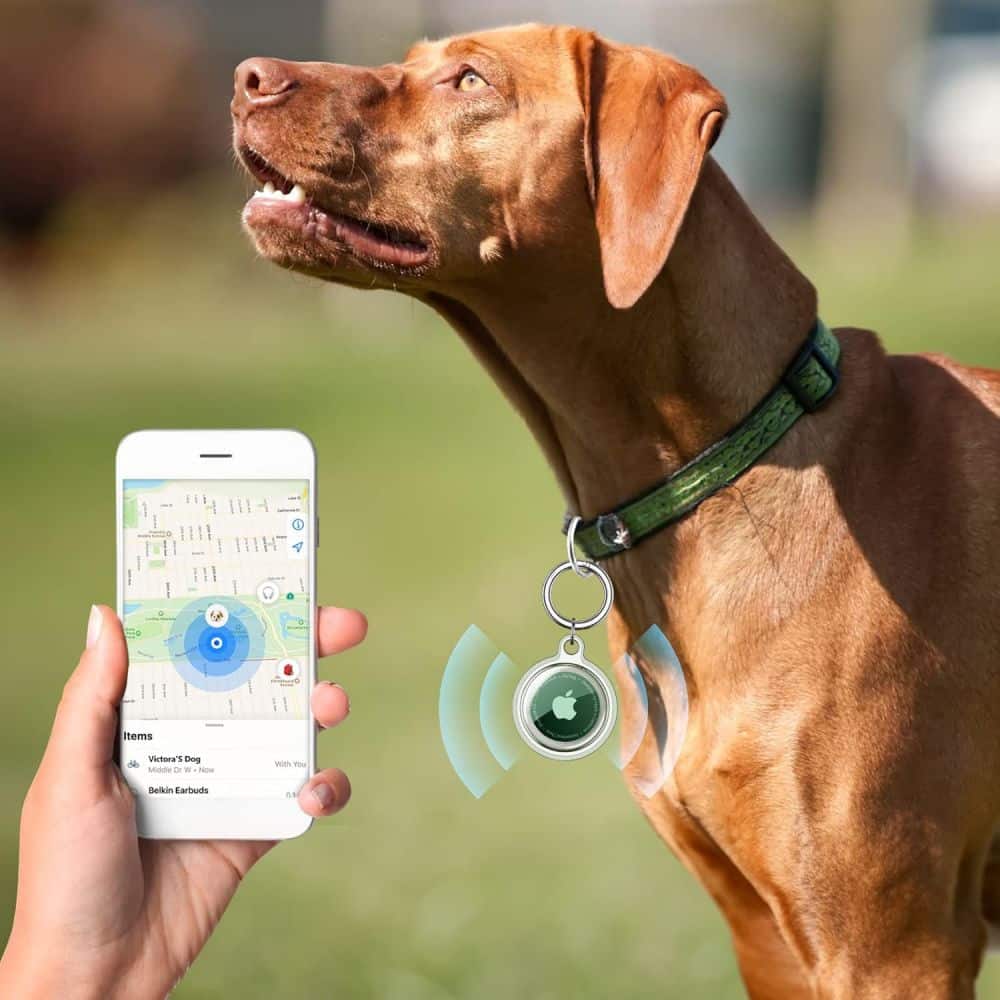 TECH-PROTECT ICON POUZDRA PRO APPLE AIRTAG 1 / 2 PACK 4 KS - průhledné