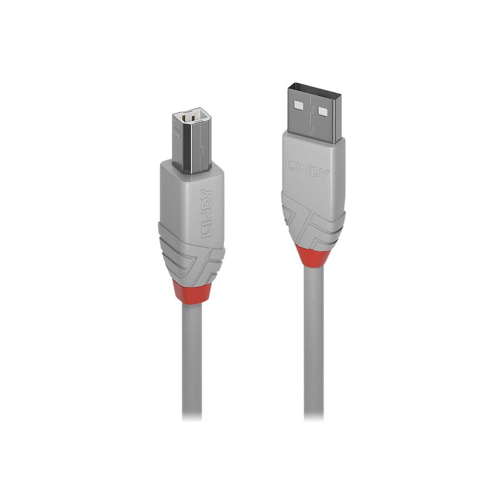 Lindy 36683 USB kabel 2 m USB 2.0 USB A USB B Sivo