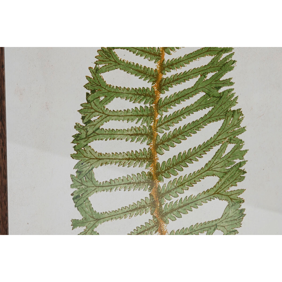 Slika Home ESPRIT Kristal Jela 45 x 2,5 x 70 cm