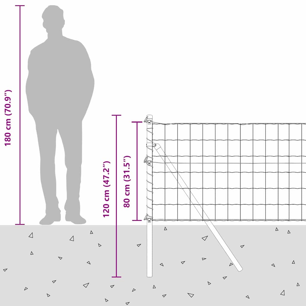 Temeljna zavarena žičana ograda 25 x 0,8 m (Š x V)