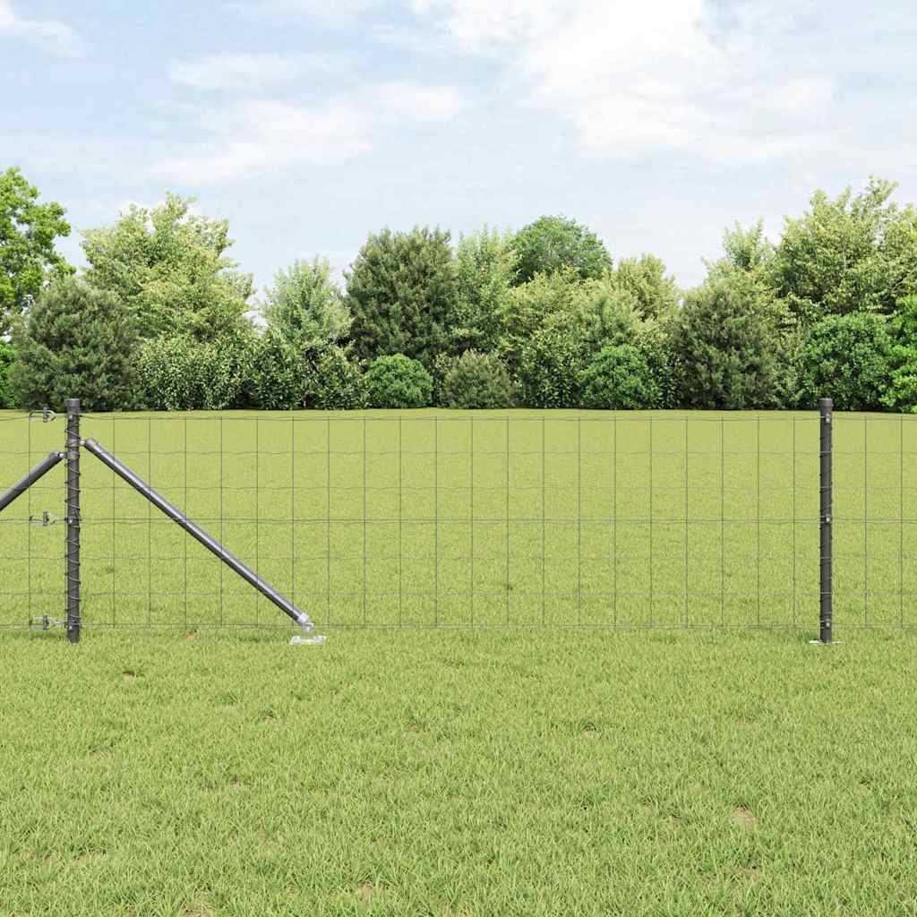 Zavareno žičano ograđivanje s bodljama 25 x 0,8 m (Š x V)