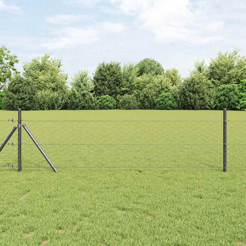 Temeljna zavarena žičana ograda 25 x 0,5 m (Š x V)