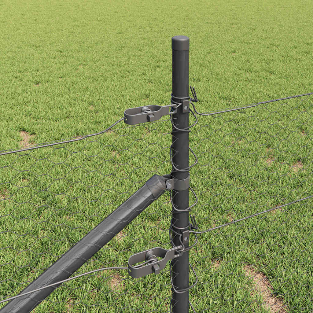 Zavareno žičano ograđivanje s bodljama 100 x 0,5 m (Š x V)