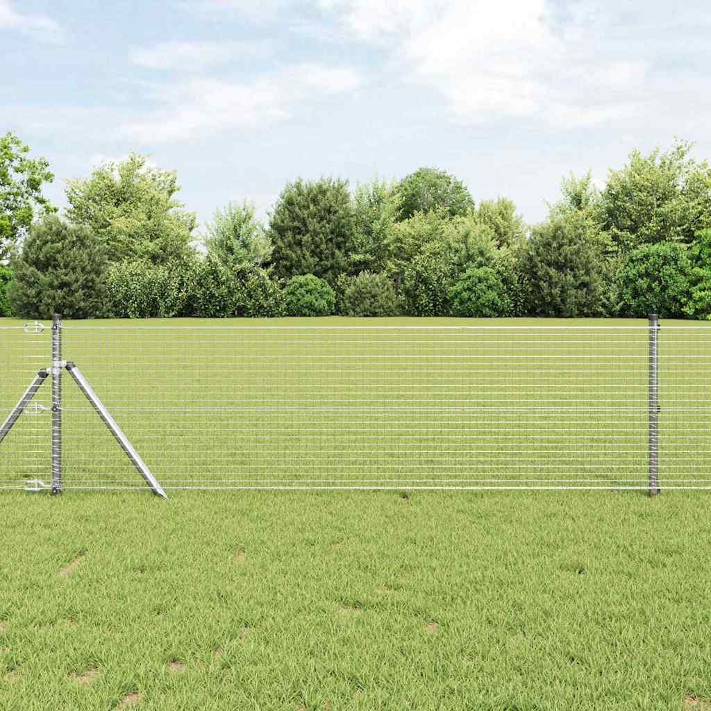 Temeljna zavarena žičana ograda 100 x 0,8 m Srebrna Mreža
