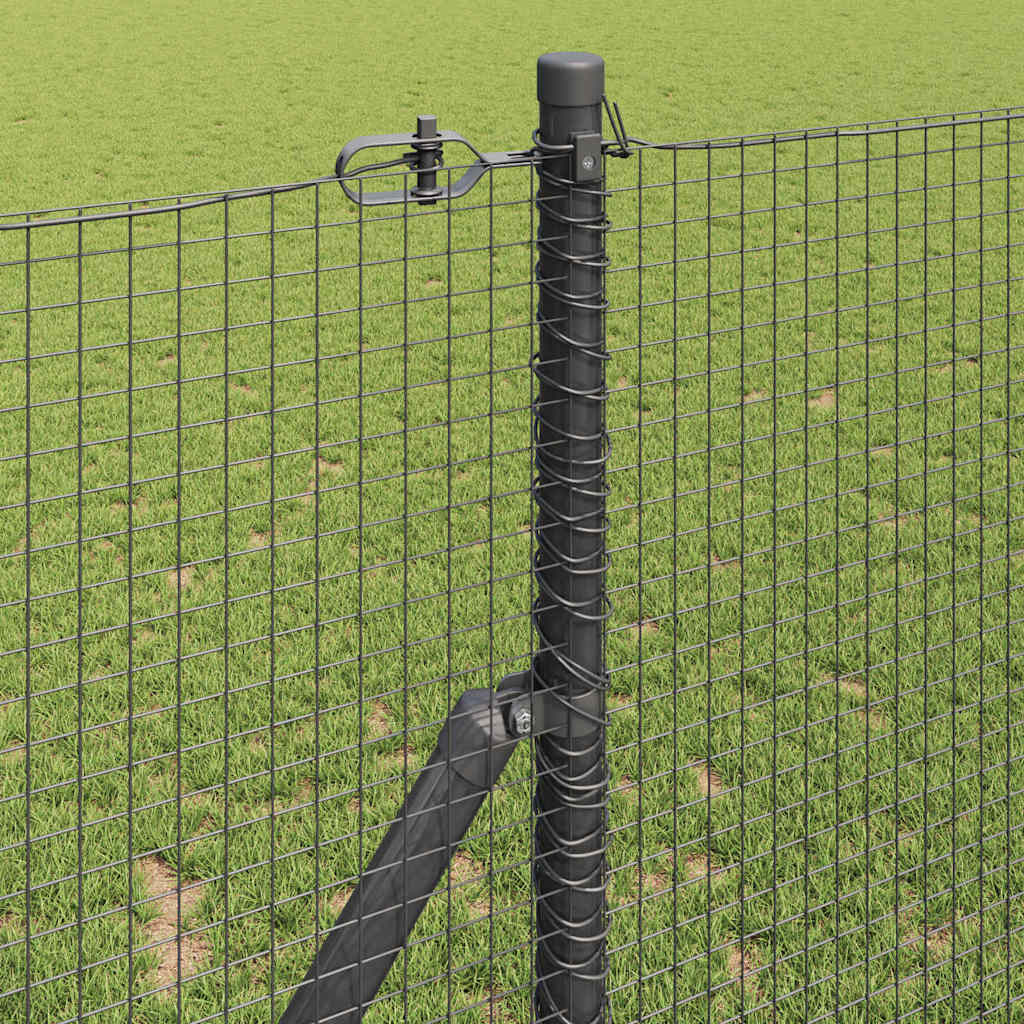 Temeljna zavarena žičana ograda 50 x 1 m Čelik premazan PVC-om
