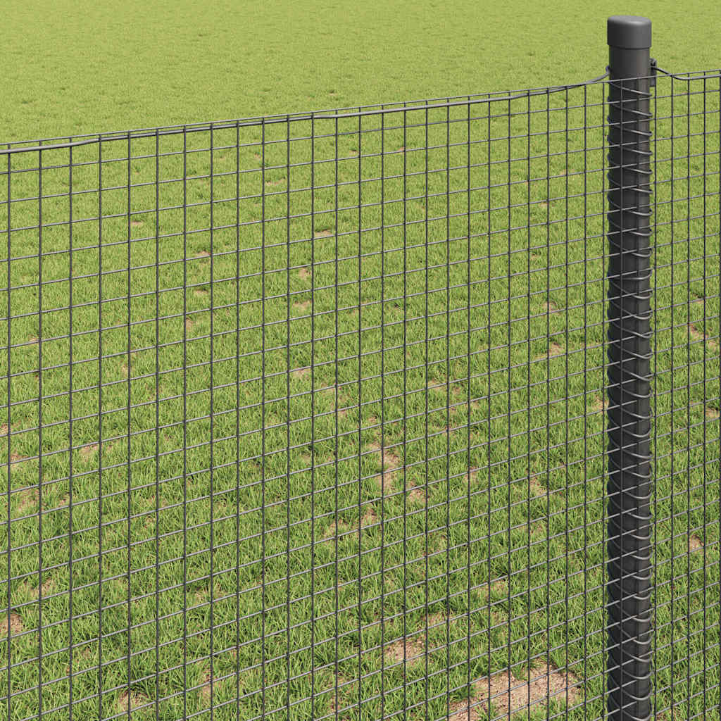 Zavarena žičana ograda 10000 x 100 cm Siva
