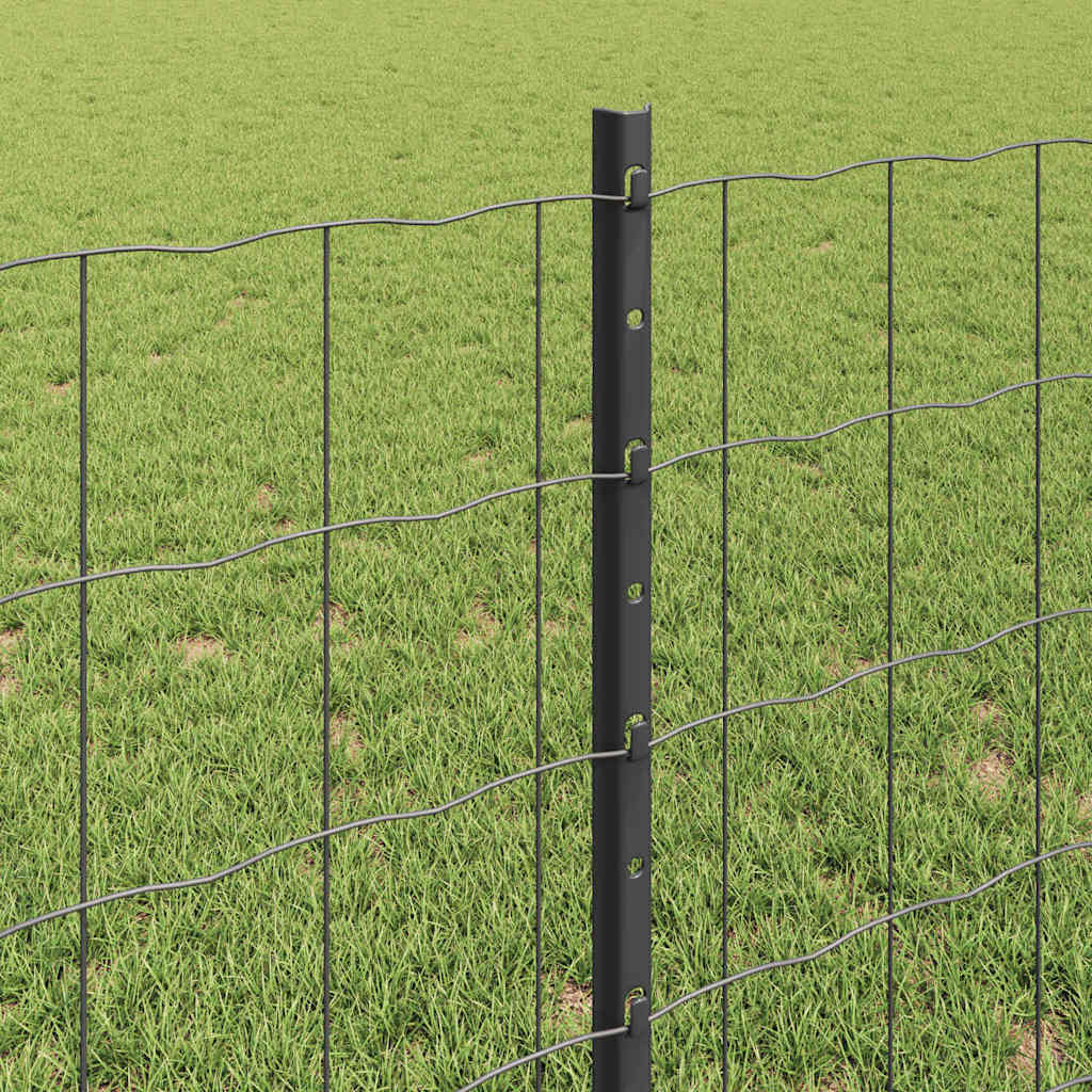 Zavarena žičana ograda 10 x 0,8 m (Š x V) Čelik premazan PVC-om