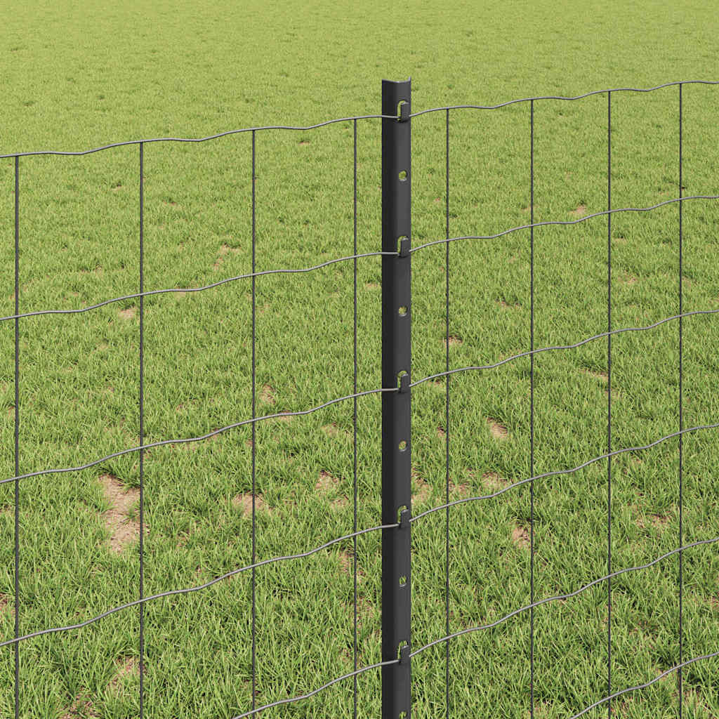 Zavarena žičana ograda 25 x 1 m (Š x V) Čelik premazan PVC-om
