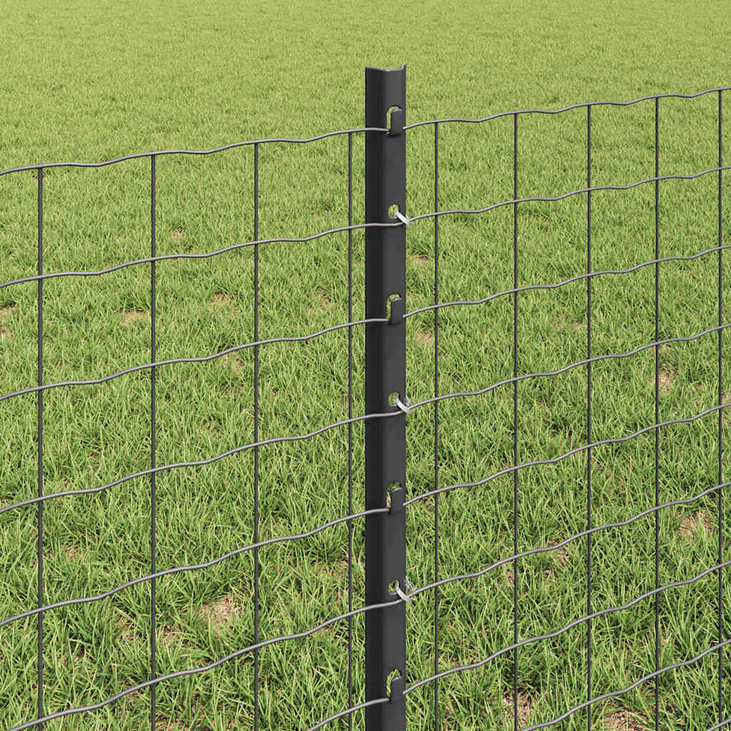 Zavarena žičana ograda 50 x 0,6 m (Š x V) Čelik premazan PVC-om