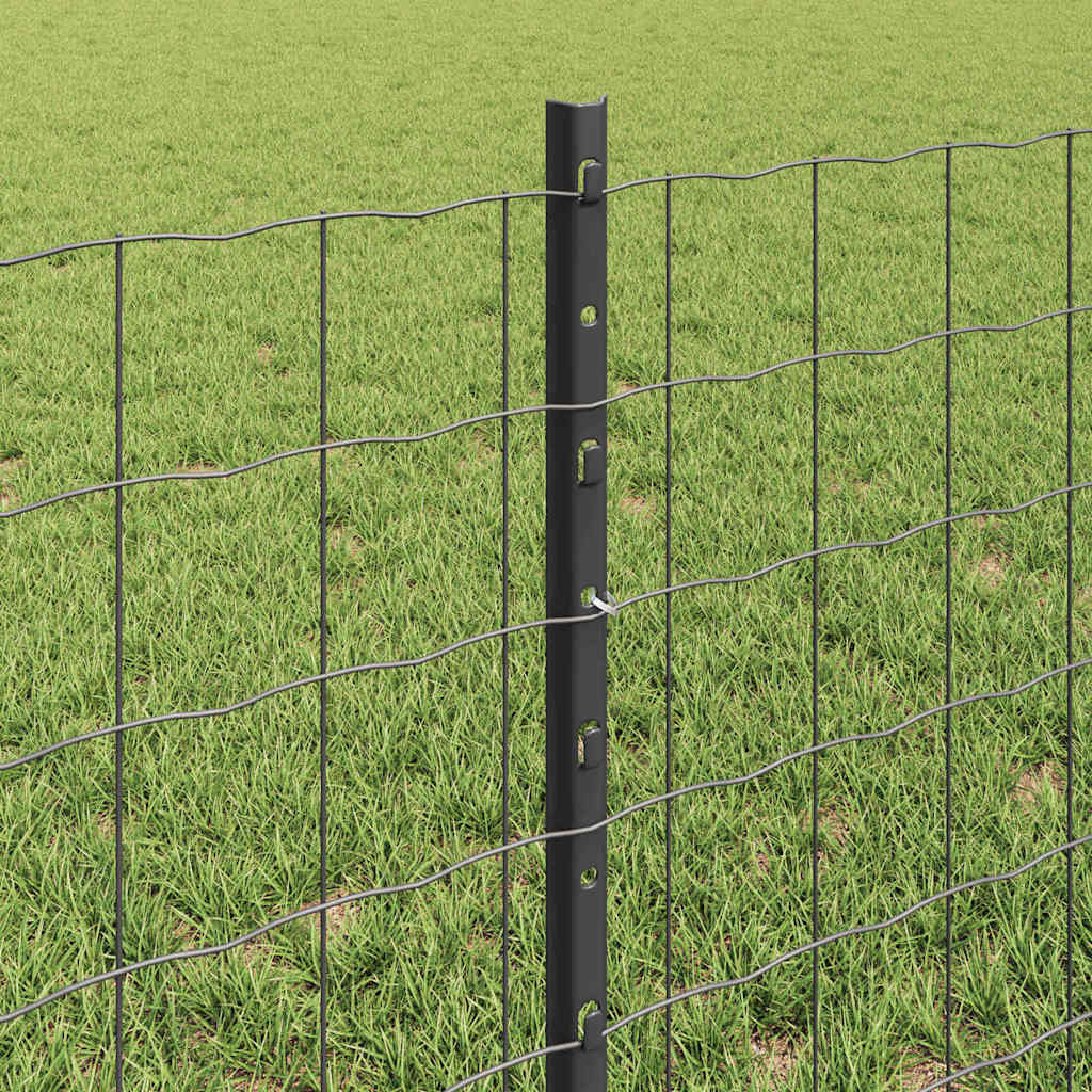 Zavarena žičana ograda 25 x 0,6 m (Š x V) Čelik premazan PVC-om