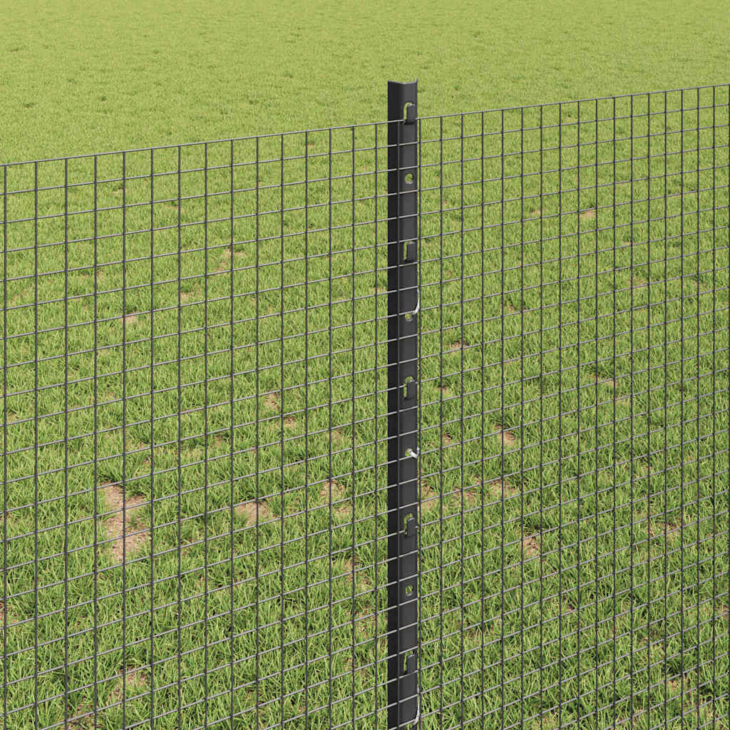 Zavarena žičana ograda s postom 25 x 1 m (Š x V)