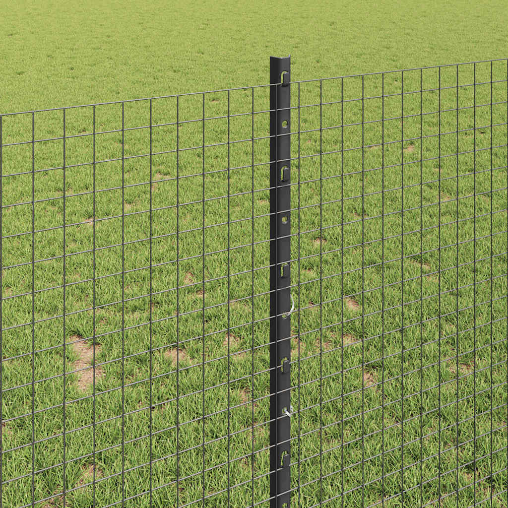 Zavarena žičana ograda s postom 50 x 1 m Čelik premazan PVC-om