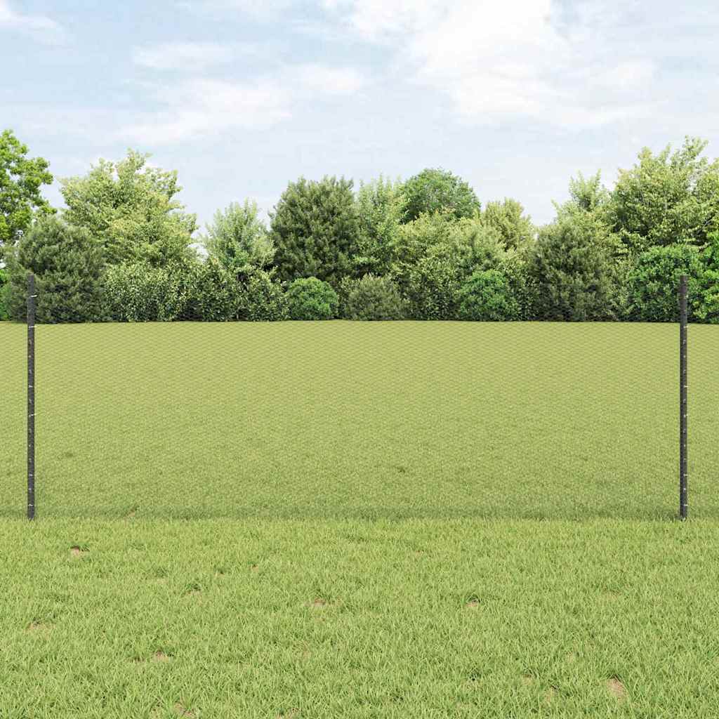 Zavarena žičana ograda 25 x 0,8 m (Š x V) Čelik premazan PVC-om