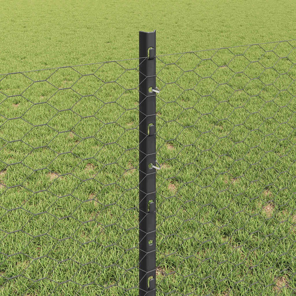 Zavarena žičana ograda 25 x 0,8 m (Š x V) Čelik premazan PVC-om