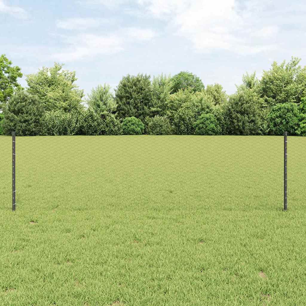 Zavarena žičana ograda 50 x 0,6 m (Š x V) Čelik premazan PVC-om