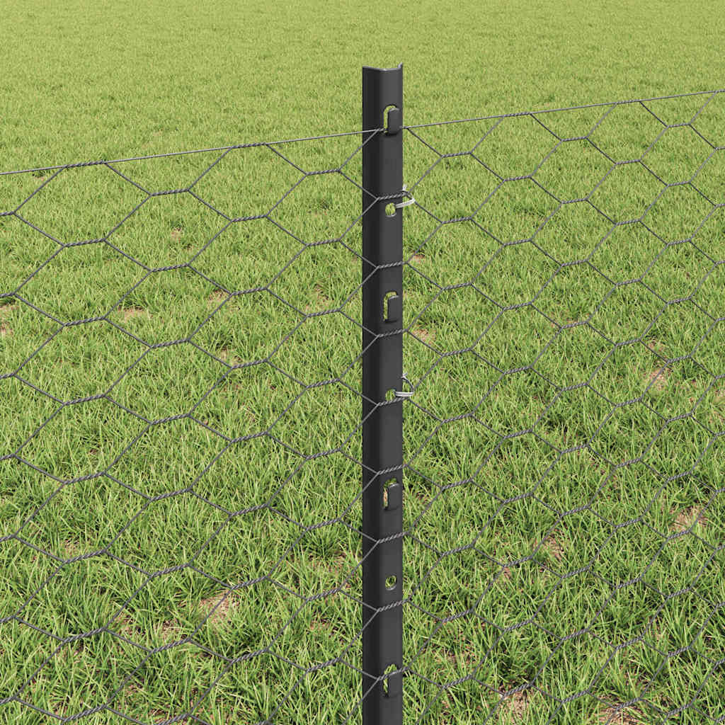 Zavarena žičana ograda 50 x 0,6 m (Š x V) Čelik premazan PVC-om