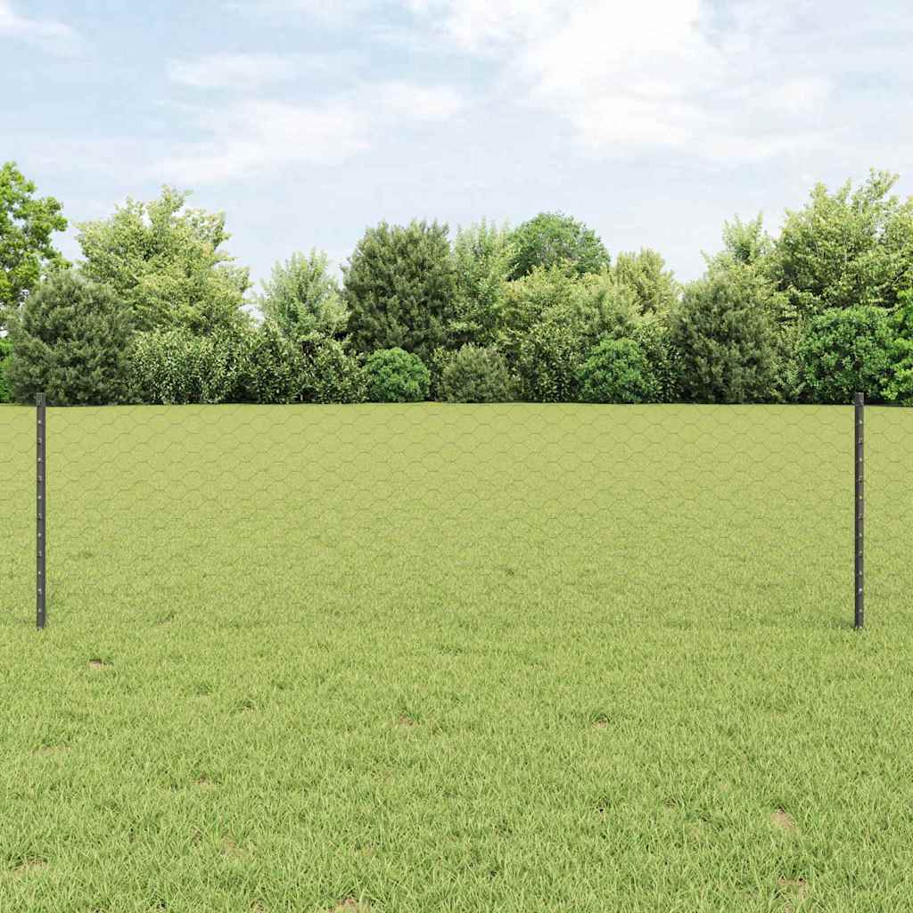 Zavarena žičana ograda 50 x 0,6 m (Š x V) Čelik premazan PVC-om