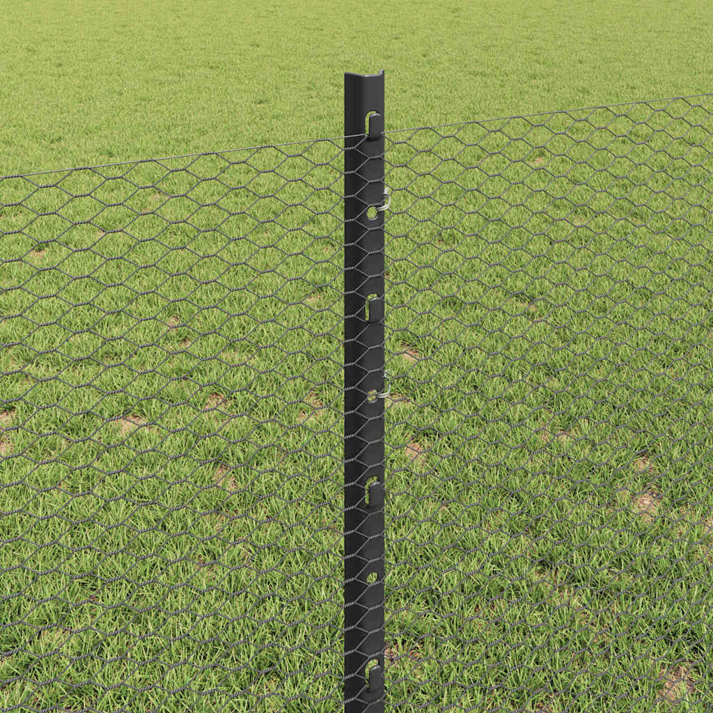Zavarena žičana ograda 50 x 0,8 m (Š x V) Čelik premazan PVC-om