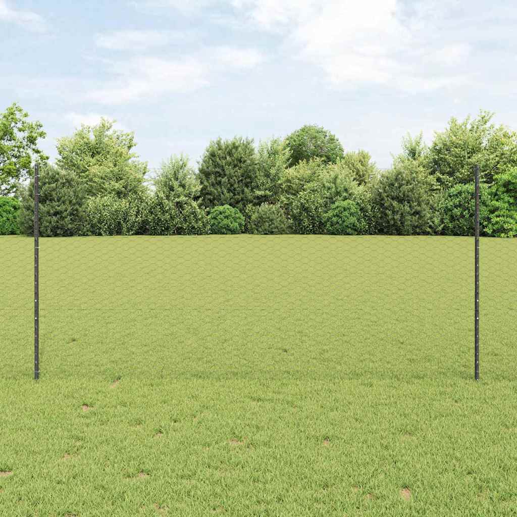 Zavarena žičana ograda 50 x 1,2 m (Š x V) Čelik premazan PVC-om
