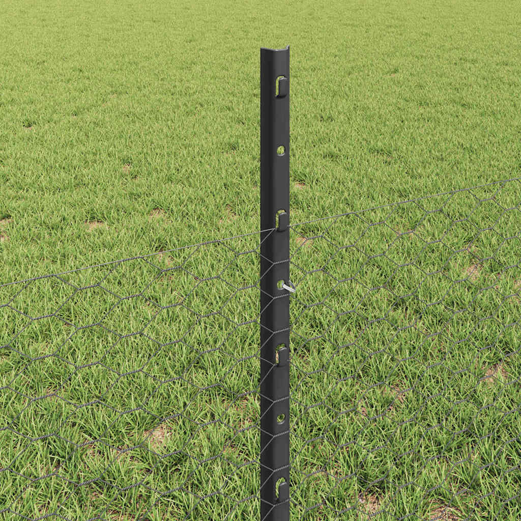 Zavarena žičana ograda 100 x 0,5 m (Š x V)