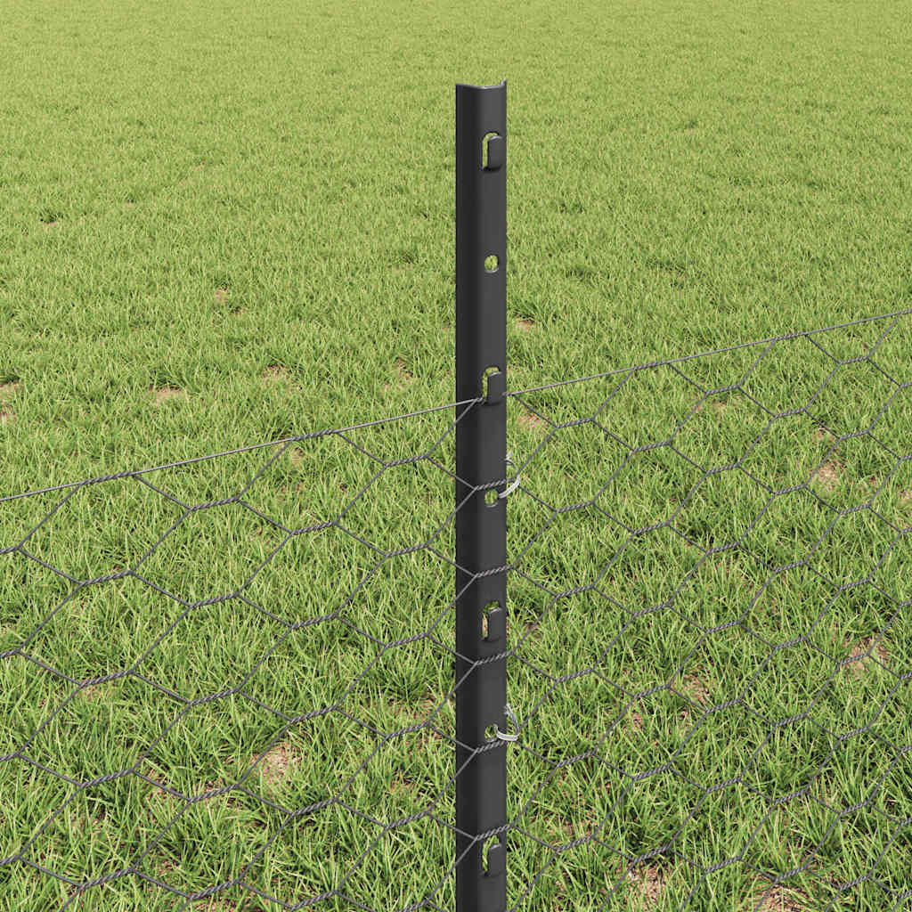 Zavarena žičana ograda 100 x 0,5 m (Š x V)