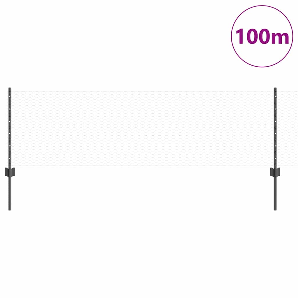 Zavarena žičana ograda 100 x 0,6 m (Š x V)