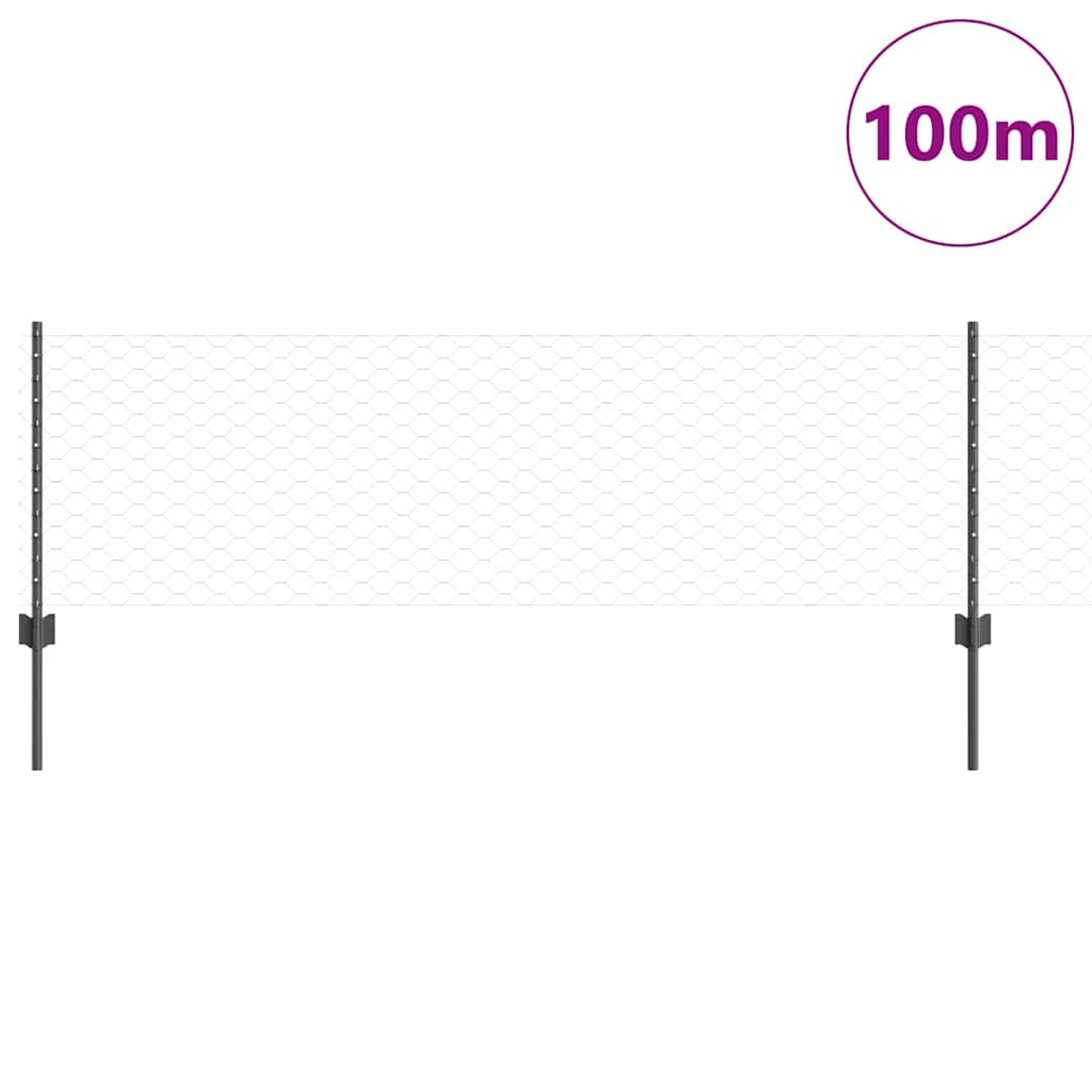 Zavarena žičana ograda 100 x 0,6 m (Š x V)