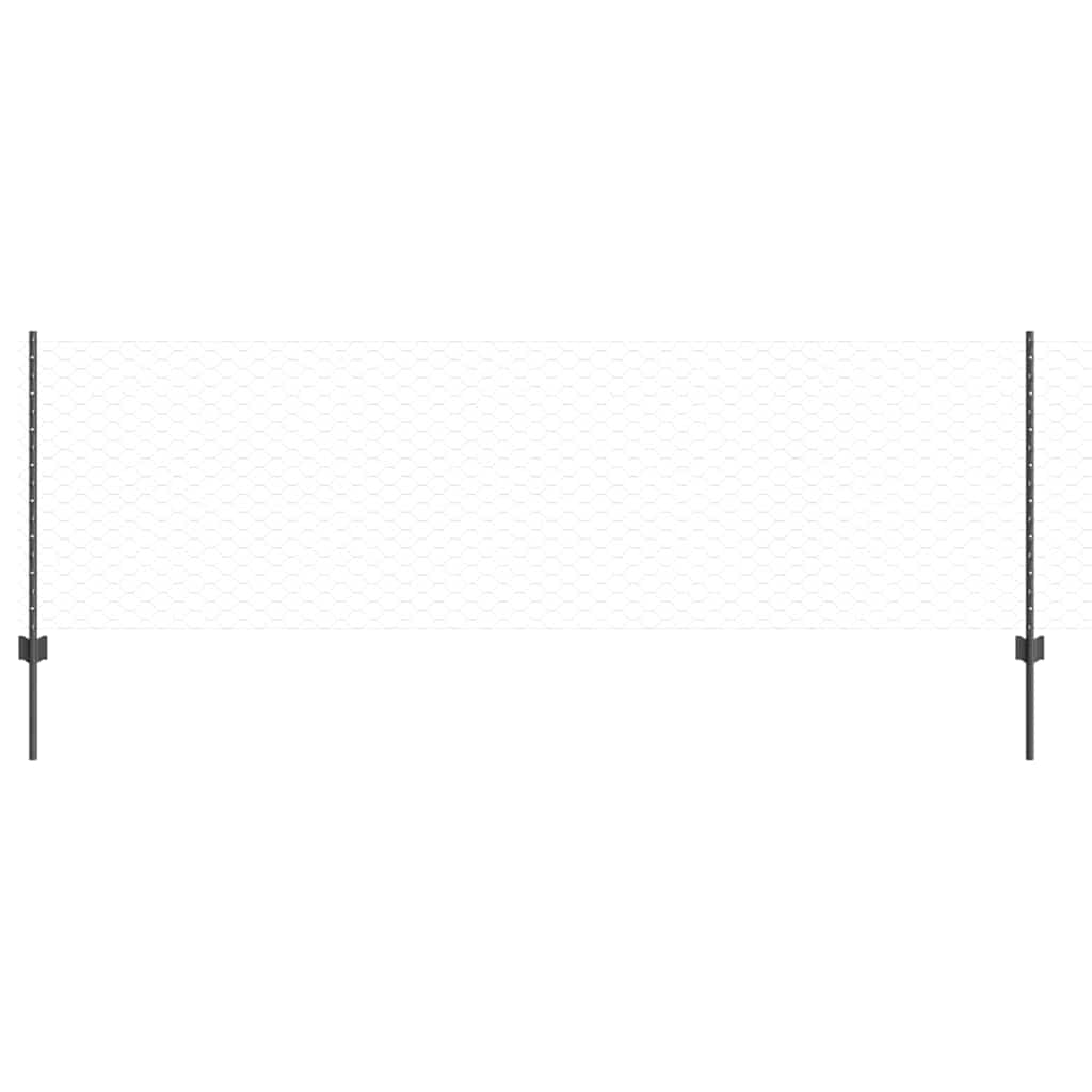 Zavarena žičana ograda 100 x 0,8 m (Š x V)