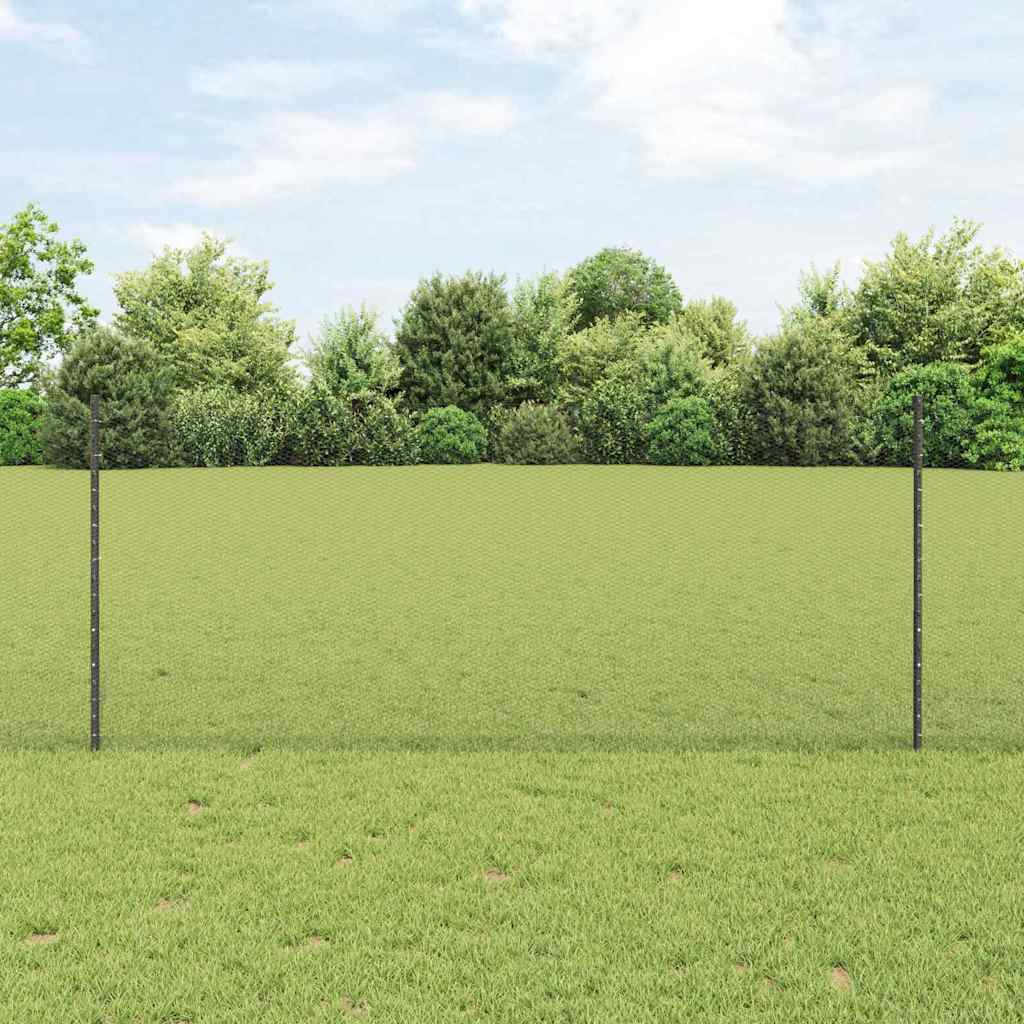 Zavarena žičana ograda 100 x 1 m (Š x V) Čelik premazan PVC-om