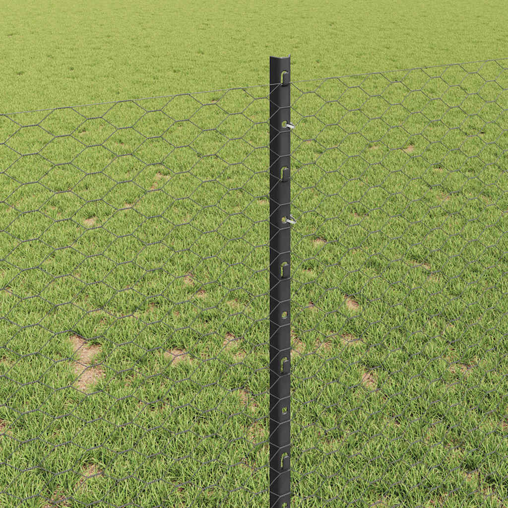 Zavarena žičana ograda 100 x 1 m (Š x V) Čelik premazan PVC-om