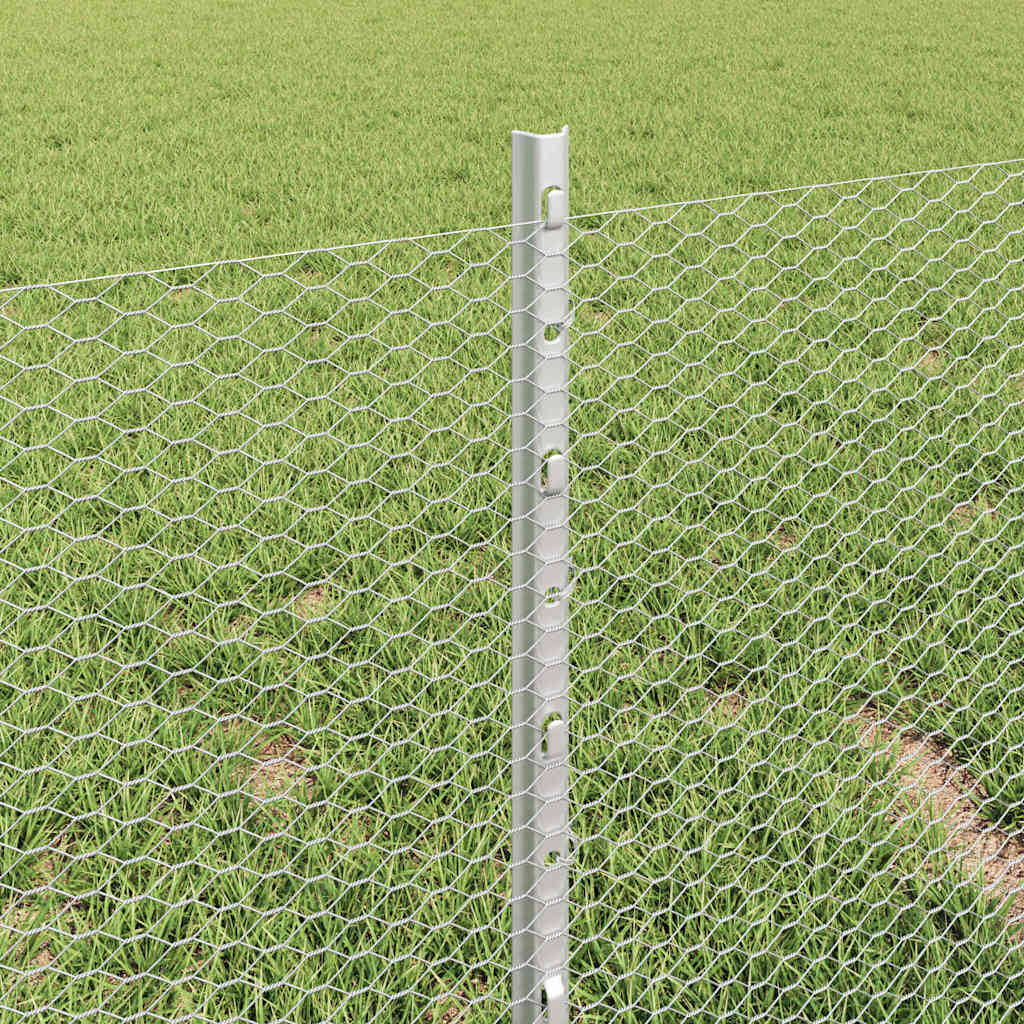 Zavarena žičana ograda 10 x 0,4 m (Š x V) Vruće pocinčani čelik