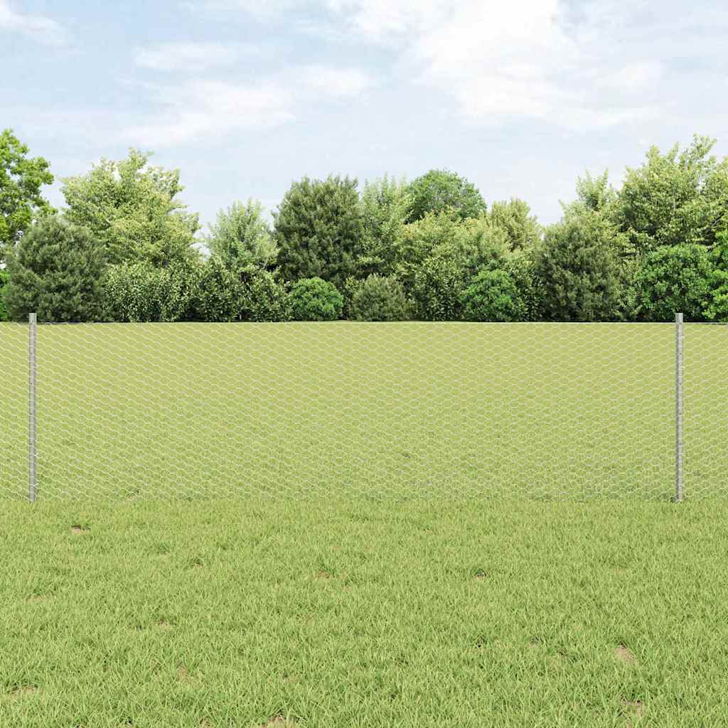 Zavarena žičana ograda 10 x 0,6 m (Š x V) Vruće pocinčani čelik