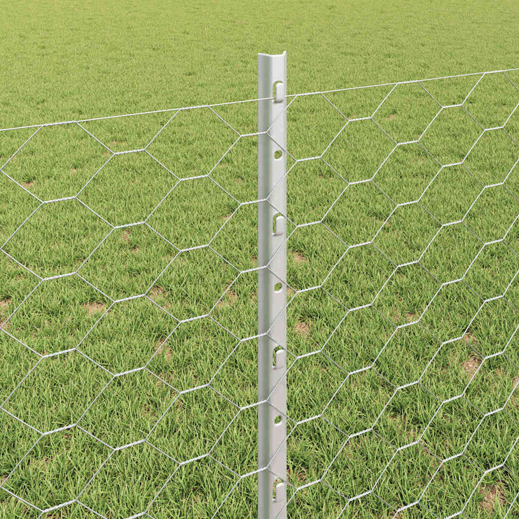 Zavarena žičana ograda 10 x 0,8 m (Š x V) Vruće pocinčani čelik