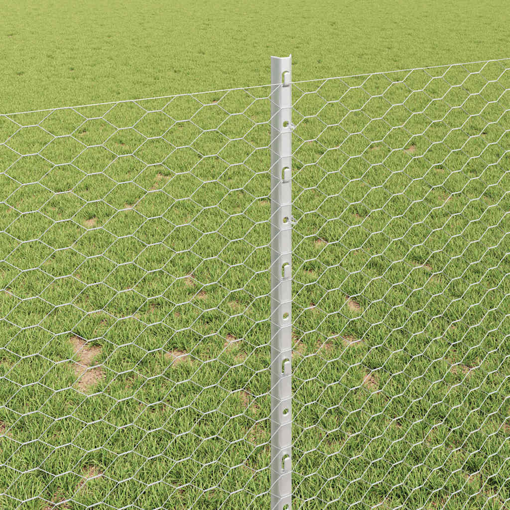 Zavarena žičana ograda 10 x 1 m (Š x V) Vruće pocinčani čelik