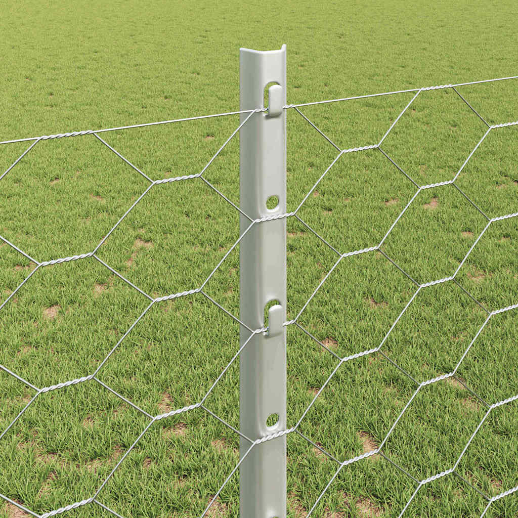 Zavarena žičana ograda 50 x 1,2 m (Š x V) Vruće pocinčani čelik